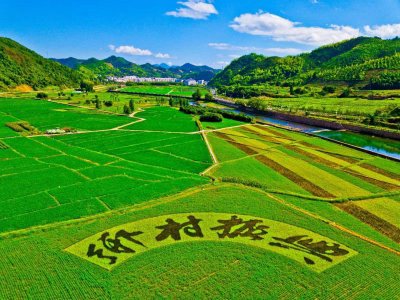 Opinions of the CPC Central Committee and The State Council on Completing the Key work of Comprehensively Promoting Rural Revitalization in 2023