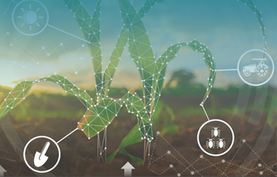 The application of AI in agriculture: Revolutionary new technologies to improve agricultural productivity